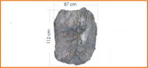 2c