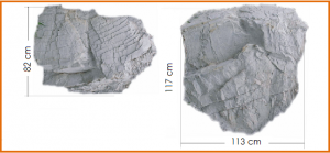 6c